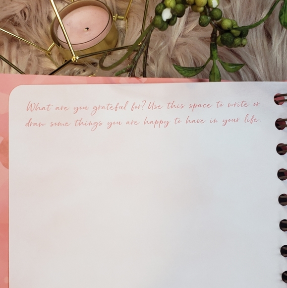 Daily Journal Gratitude I am Grateful Guided Journal - Picture 5 of 14